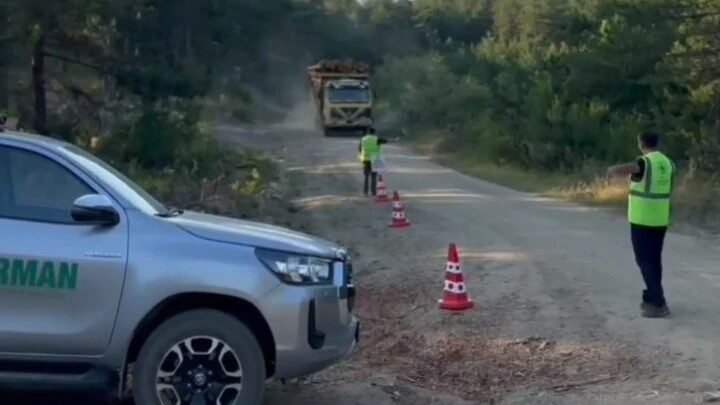 Sinop genelinde orman ürünlerinin izinsiz taşınmasını önlemek amacıyla denetim yapıldı.