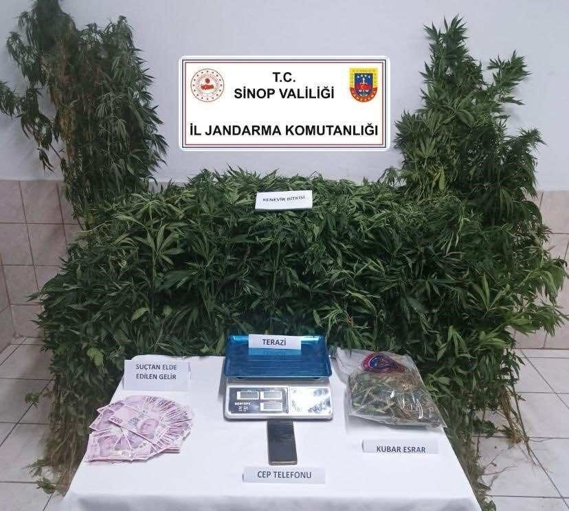 Sinop’un Durağan ilçesinde jandarma ekiplerince düzenlenen uyuşturucu operasyonunda çok sayıda