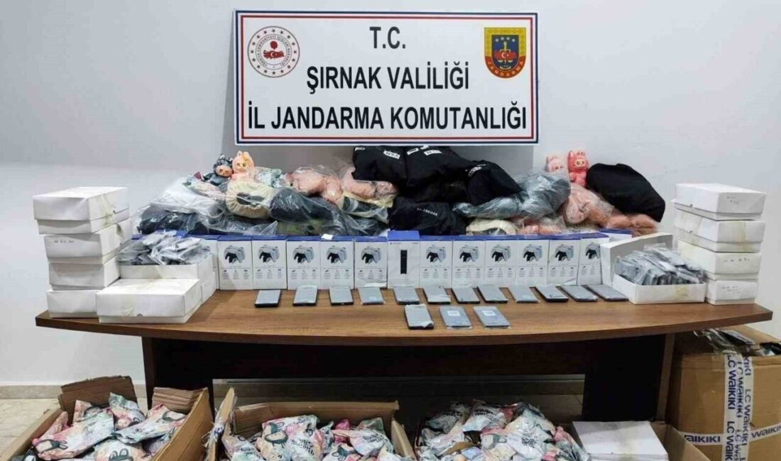 Şırnak’ta 23 ayrı kaçakçılık ve narkotik suç olayına müdahale eden