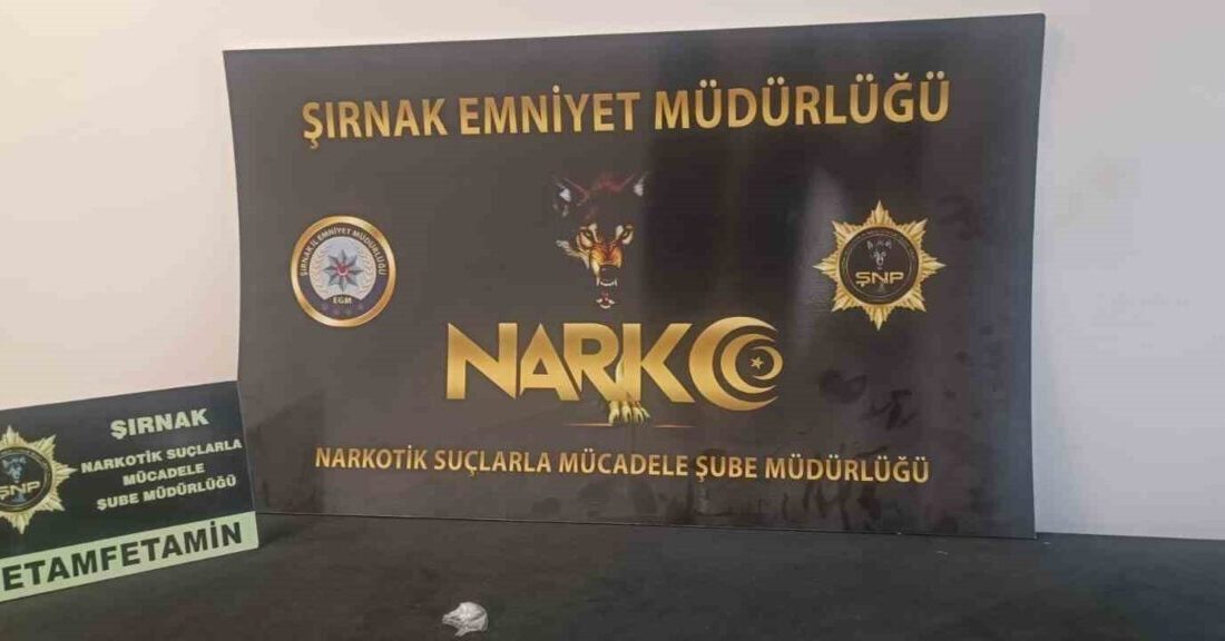 Şırnak’ta asayiş, kaçakçılık ve narkotik operasyonlarında gözaltına alınan 24 şüpheliden