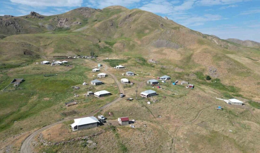 Şırnak’ta yaylada kalan göçerler, “Terörsüz Türkiye” süreciyle birlikte yurtlarında kalıcı
