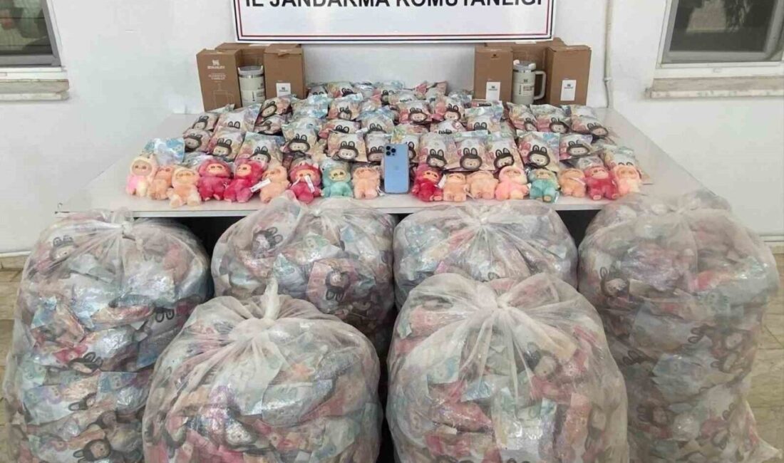 Şırnak’ta 19 ayrı kaçakçılık, mali ve narkotik suç olayına müdahale