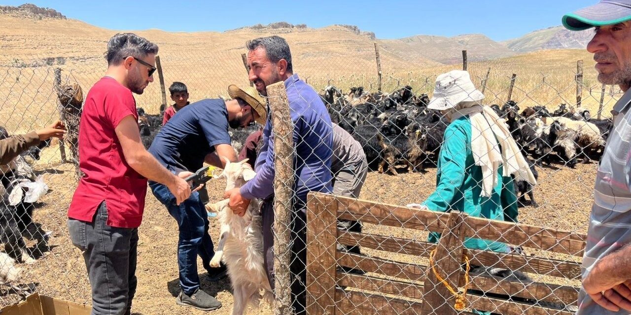 Şırnak İl Tarım ve Orman Müdürlüğü ekipleri Güneyçam köyü Peri