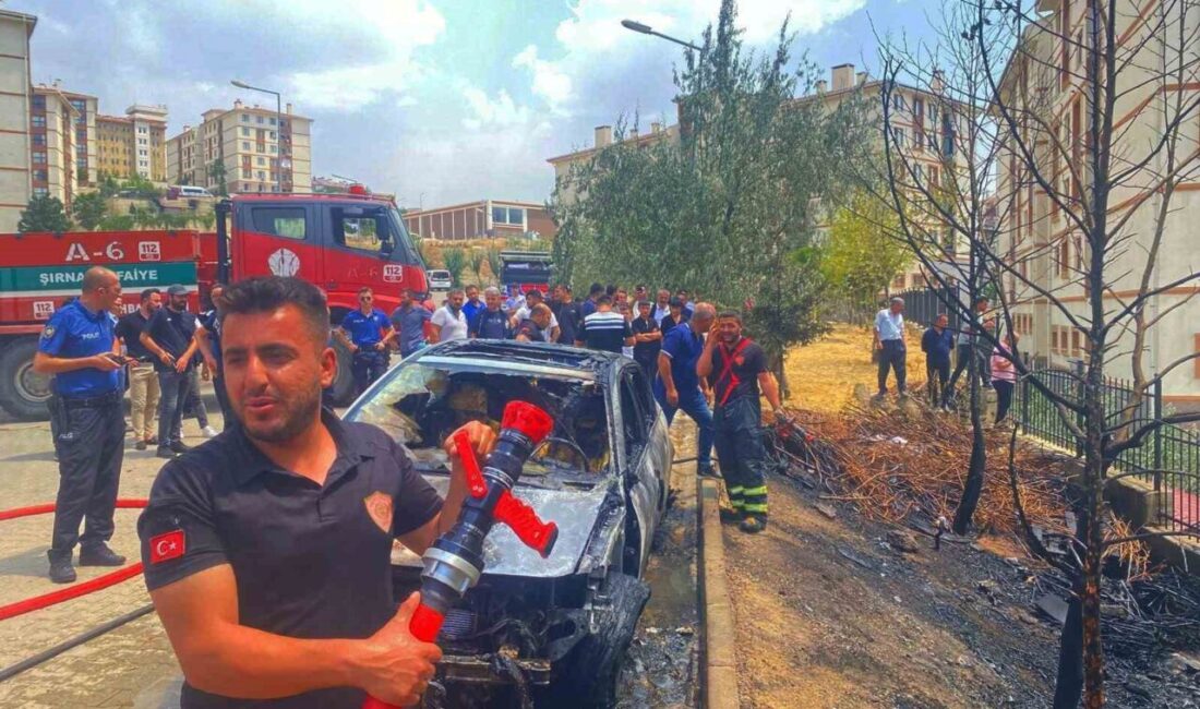 Şırnak’ta park halindeki bir araç henüz belirlenemeyen nedenle alev aldı.