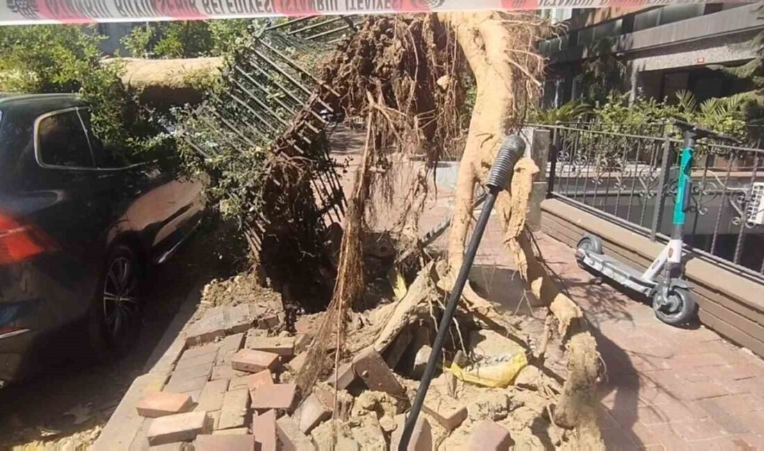 Şişli’de kaldırım üzerindeki bir ağaç yola devrildi. Olayda yaralanan olmazken,