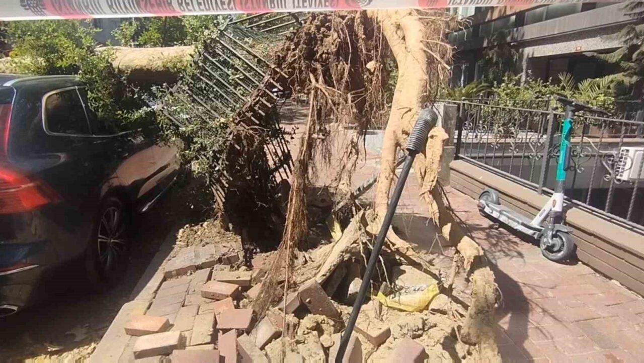 Şişli’de kaldırım üzerindeki bir ağaç yola devrildi. Olayda yaralanan olmazken,