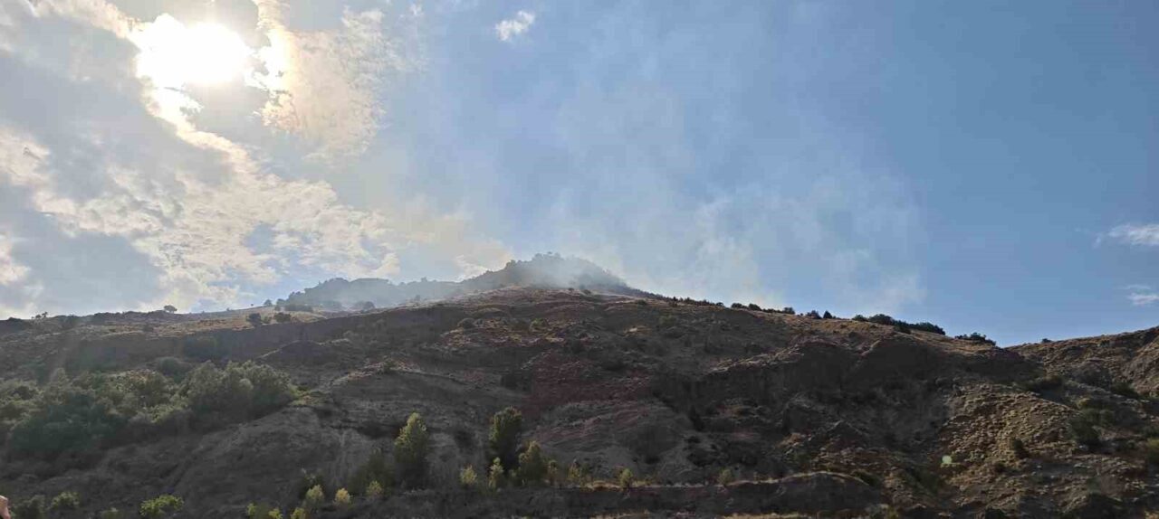Sivas’ın Suşehri ve Zara ilçeleri arasında bulunan Geminbeli Geçidi’ndeki ormanlık