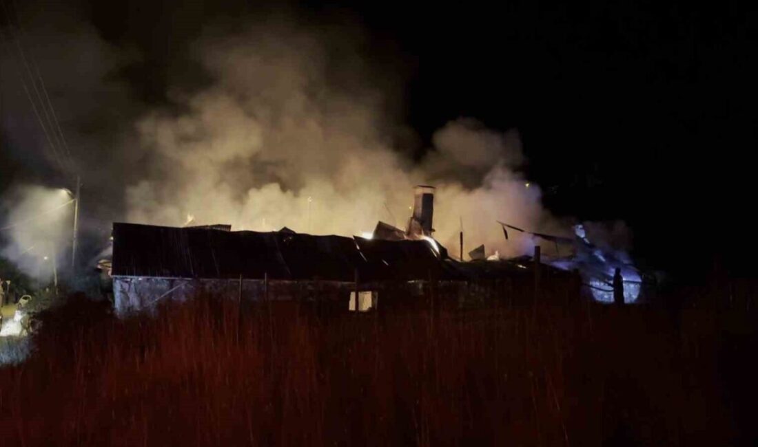 Sivas’ın İmranlı ilçesinde çıkan yangında samanlık, ahır ve ev alevlere