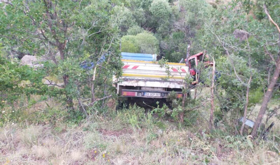 Sivas’ın Suşehri ilçesinde traktör yüklü kamyonetin şarampole uçtuğu kazada 3