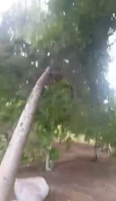 Şanlıurfa’nın Siverek ilçesinde hava sıcaklıkları 50 dereceyi bulurken, bazı kırsal