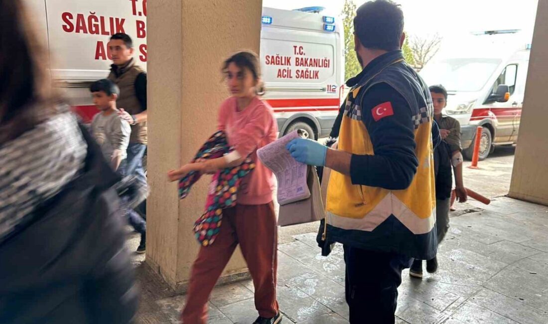 Şanlıurfa’nın Siverek ilçesinde yolun karşısına geçerken otomobilin çarptığı 2 yaya