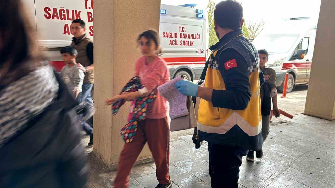 Şanlıurfa’nın Siverek ilçesinde yolun karşısına geçerken otomobilin çarptığı 2 yaya