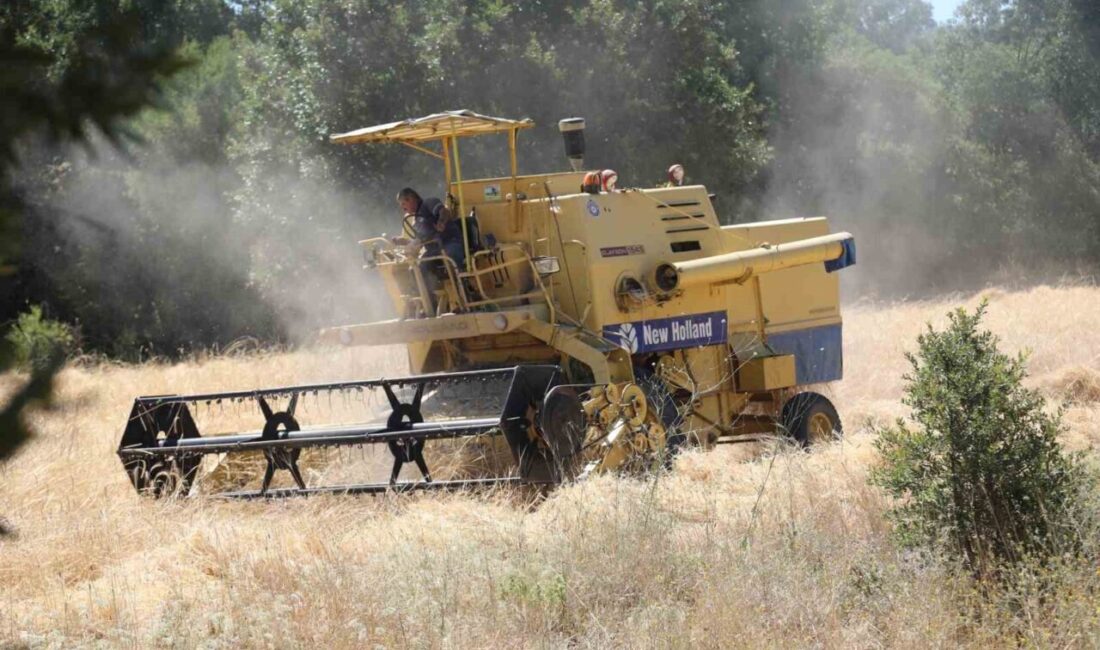 Bursa Büyükşehir Belediyesi tarafından dağ ilçelerinin kalkınması ve nitelikli tarım