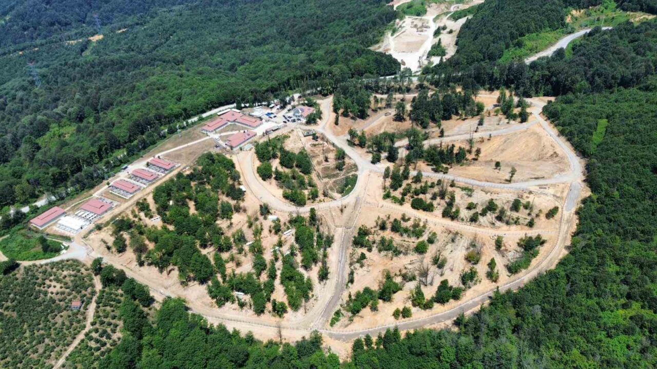 DÜZCE (İHA) – Düzce’de sokak hayvanlarının korunması amacıyla yürütülen çalışmalar