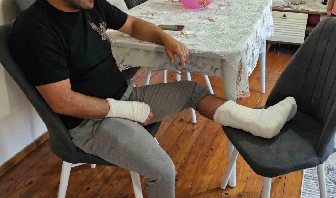 Kastamonu’nun Cide ilçesinde sokak köpeğinin saldırısına uğrayan vatandaşın ayağı iki