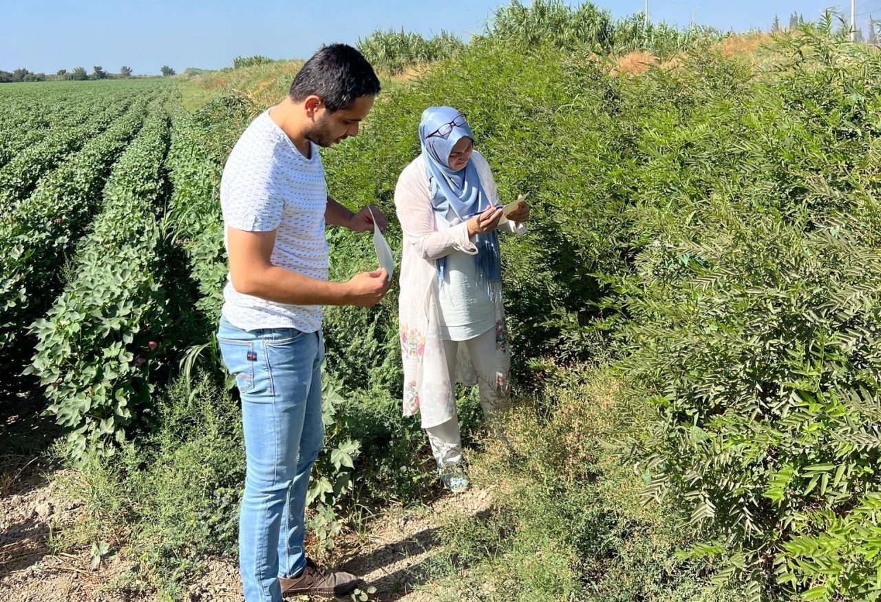 Türkiye’nin önemli tarım kentlerinden olan Aydın’ın Söke ilçesinde, tarım arazileri