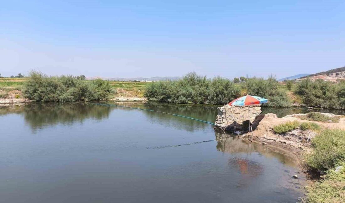 Aydın’ın Söke ilçesinde su ürünleri nakil araçları ve karaya çıkış