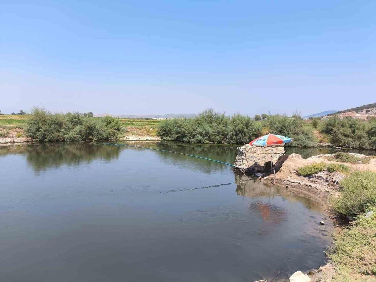 Aydın’ın Söke ilçesinde su ürünleri nakil araçları ve karaya çıkış