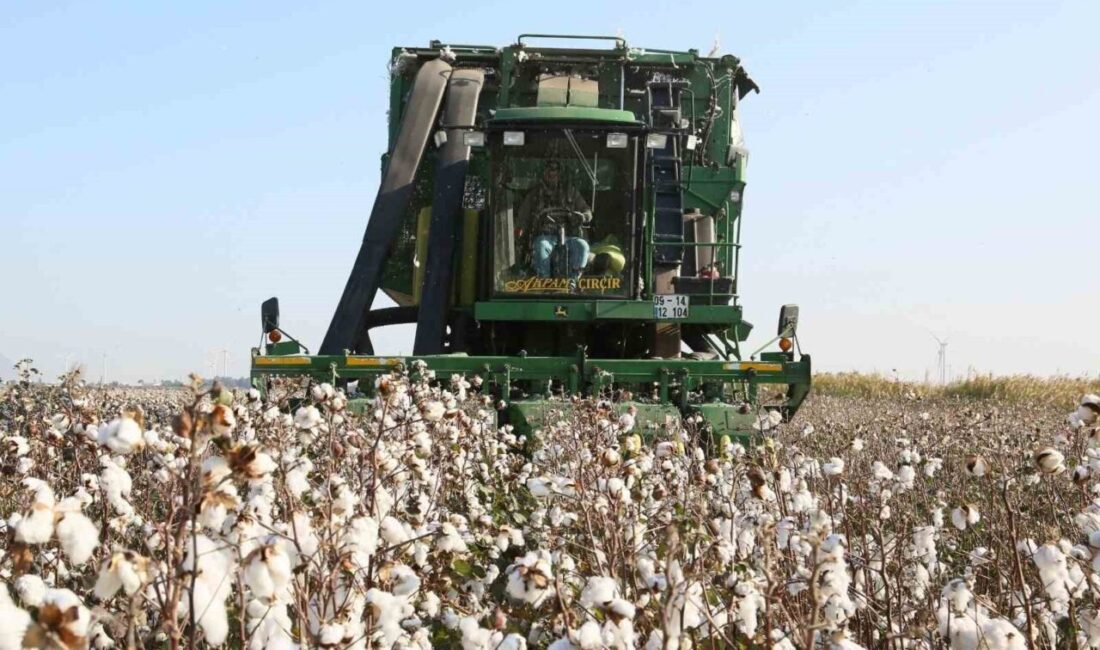 Beyaz altın üretim merkezlerinden olan Aydın’ın Söke ilçesinde üreticilere ’beyan’