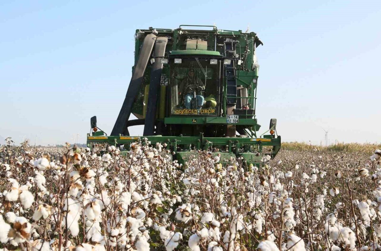 Beyaz altın üretim merkezlerinden olan Aydın’ın Söke ilçesinde üreticilere ’beyan’