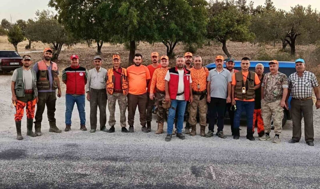 Manisa’nın Soma ilçesinde, tarım arazilerine zarar verdiği tespit edilen yaban