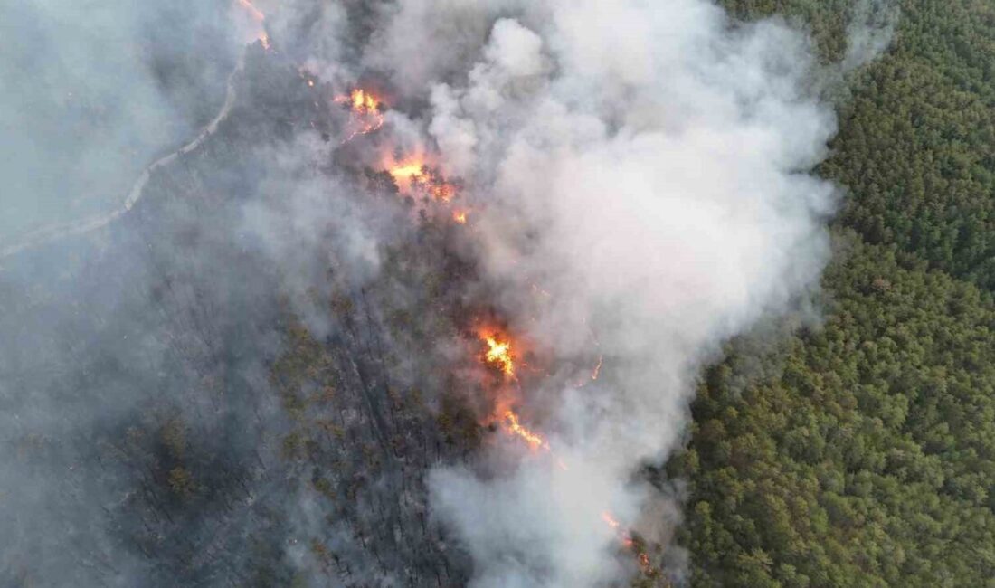 Karabük’ün Ovacık ilçesinde dün akşam saatlerinde kontrol altına alınan orman