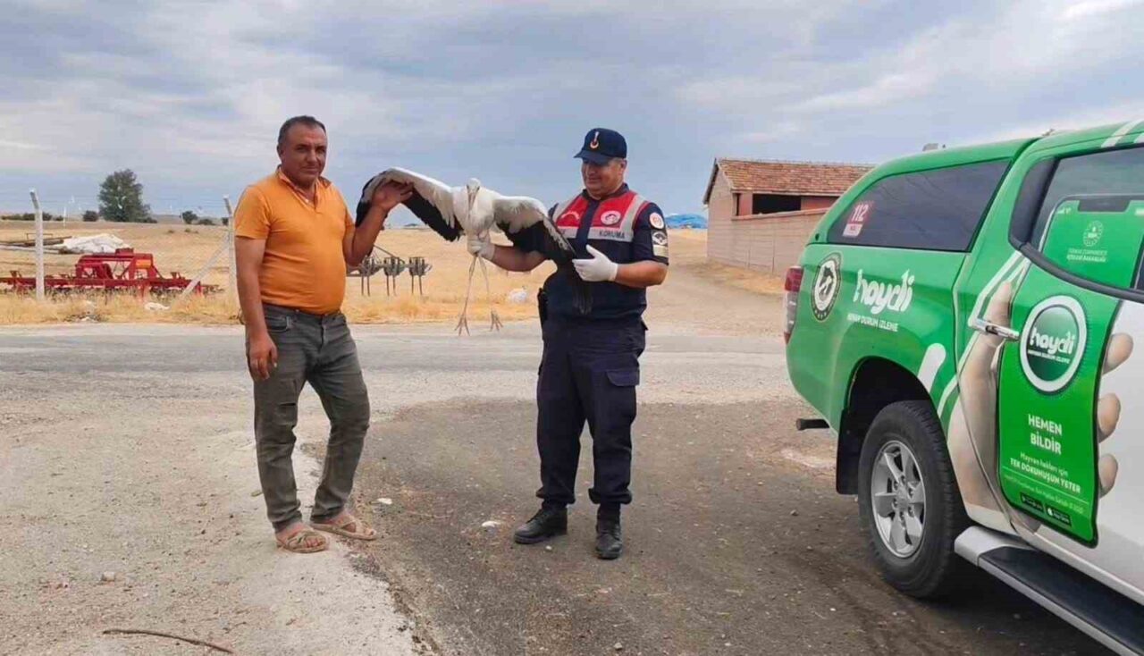 Yozgat’ın Sorgun ilçesinde bulunan yaralı leylek koruma altına alındı. Sorgun