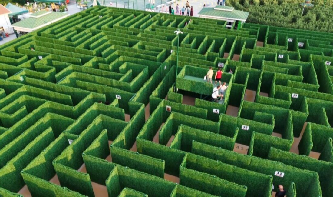 Konya’da kurulan bilgi temalı labirente gelenler, eğlenirken öğreniyor. Çeşitli kategorilerdeki