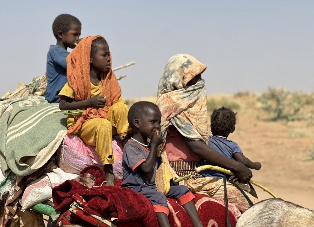 Sudanlı insan hakları grubu Acil Durum Avukatları, Sudan ordusu ile