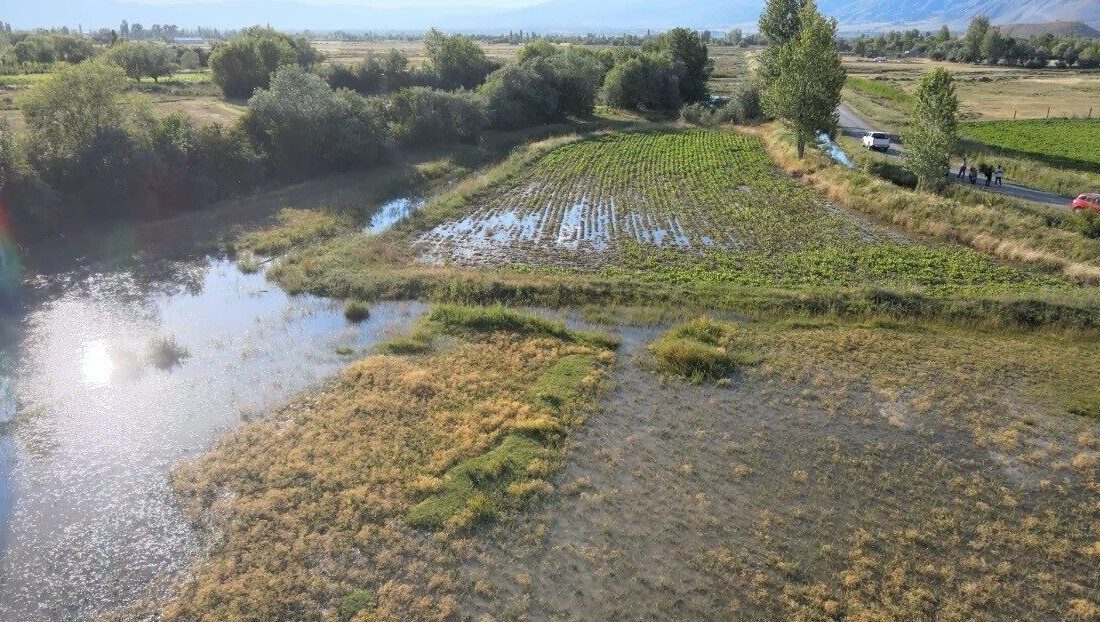Erzincan’da önceki gün bazı tarlalarda su baskını yaşanarak ekili ürünlerin