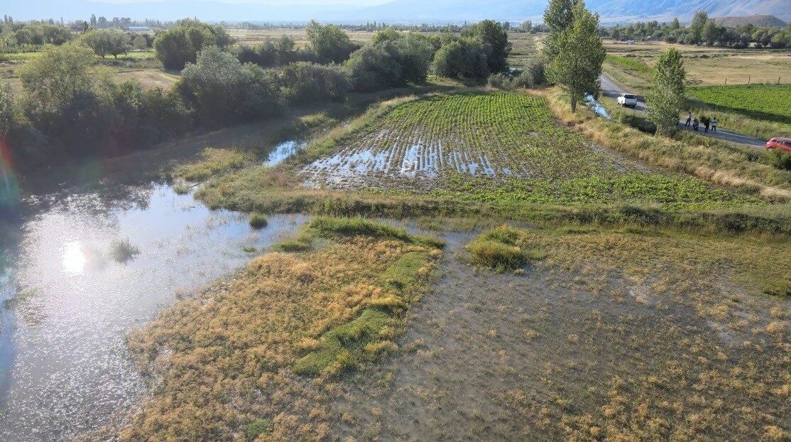 Erzincan’da önceki gün bazı tarlalarda su baskını yaşanarak ekili ürünlerin
