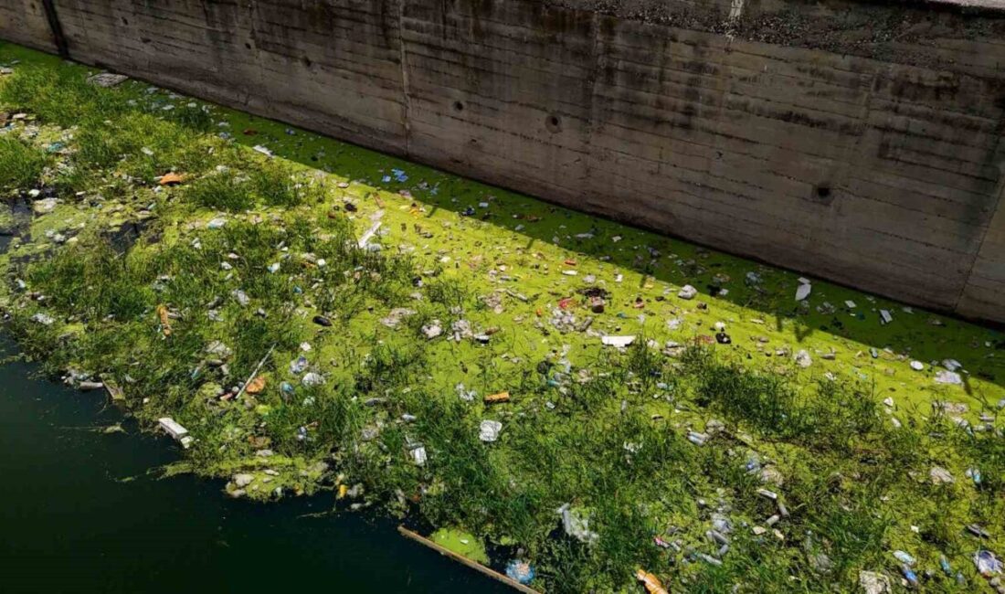 Adana’nın Venedik’i olan sulama kanallarının bazı bölümleri çöplükten adeta Hindistan’daki
