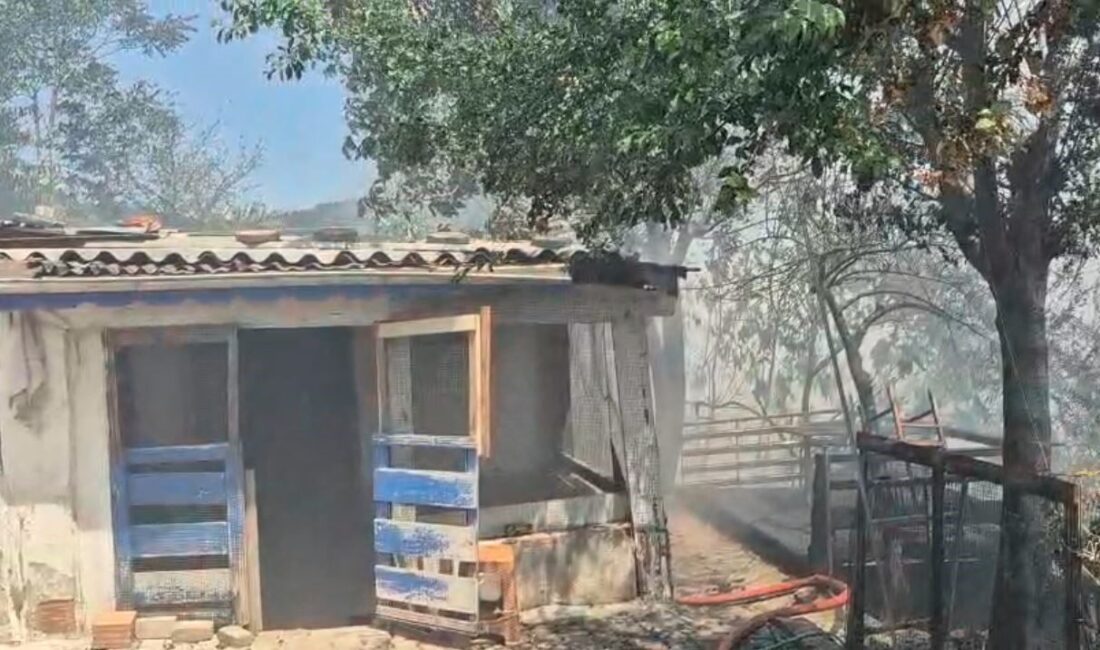 İstanbul Sultangazi’de otluk alanda henüz bilinmeyen bir nedenle çıkan yangın