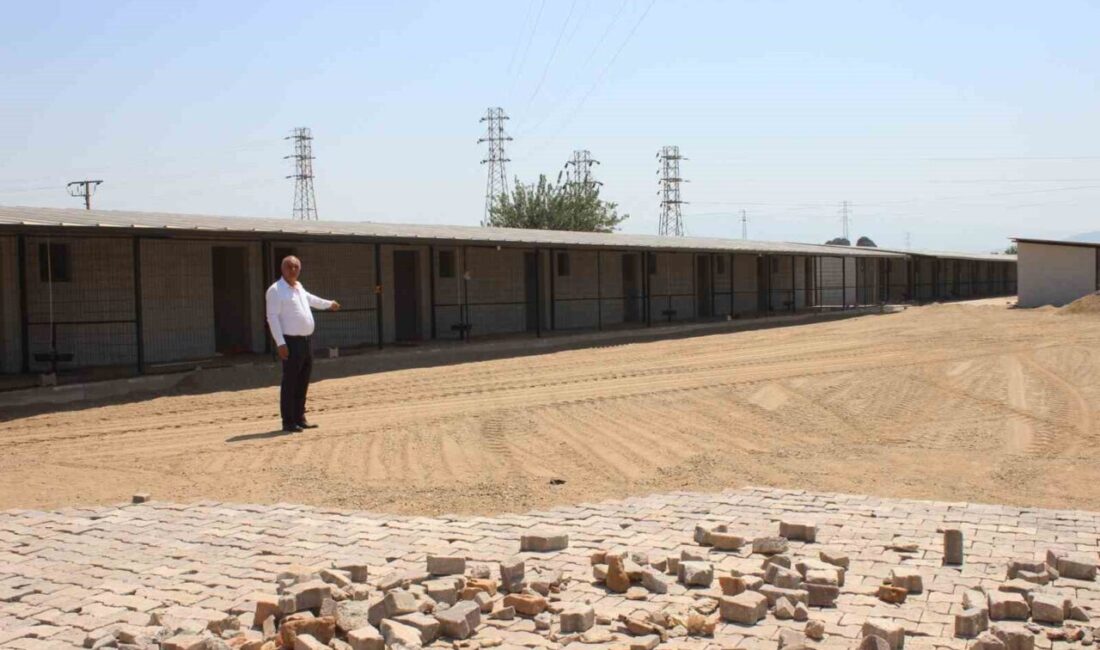Aydın’ın Sultanhisar ilçesinde yapımına başlanan hayvan bakımevi ve barınak projesinde