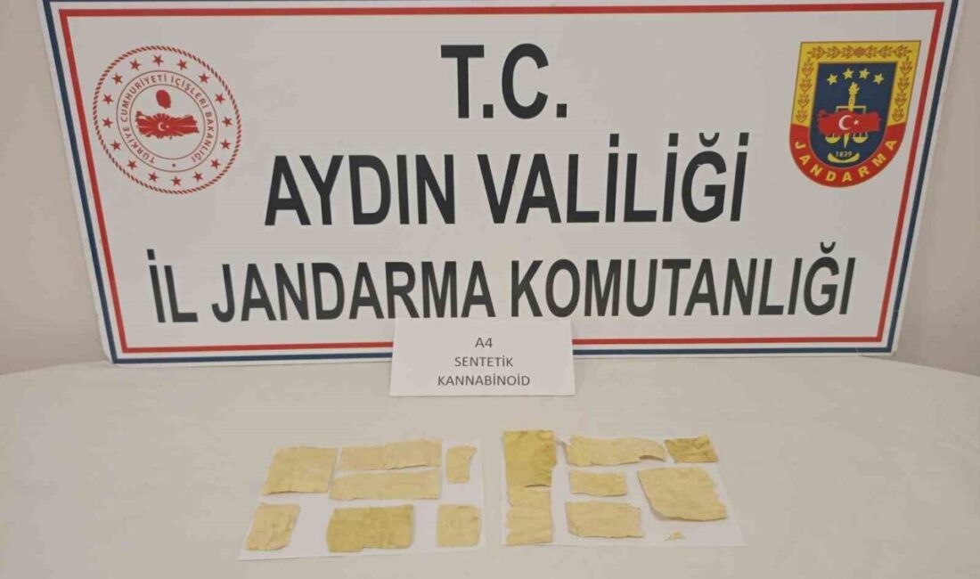 Aydın’ın Koçarlı ilçesinde yol kenarında bekleyen şüpheli şahsın üzerinde uyuşturucu