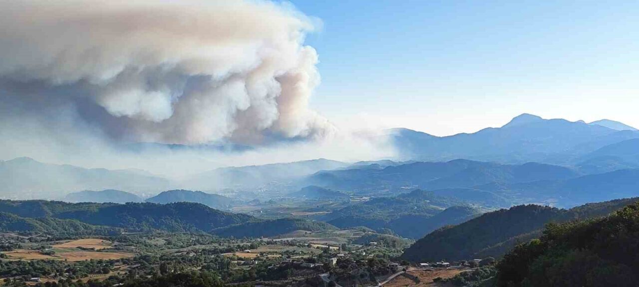 Suriye’nin Lazkiye bölgesinde ormanlık alanda çıkan yangın, Türkiye’nin en güneyinde