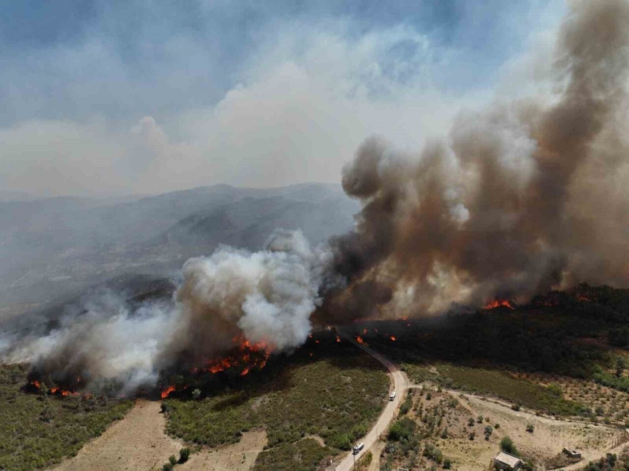 Suriye’nin Lazkiye ilinde çıkan orman yangınlarında itfaiye erleri alevlerin arasında