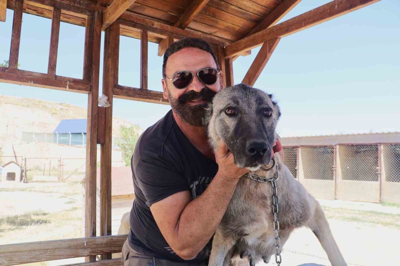 Ünü dünyaya yayılan ve dünyanın en iyi sürü koruma köpeği