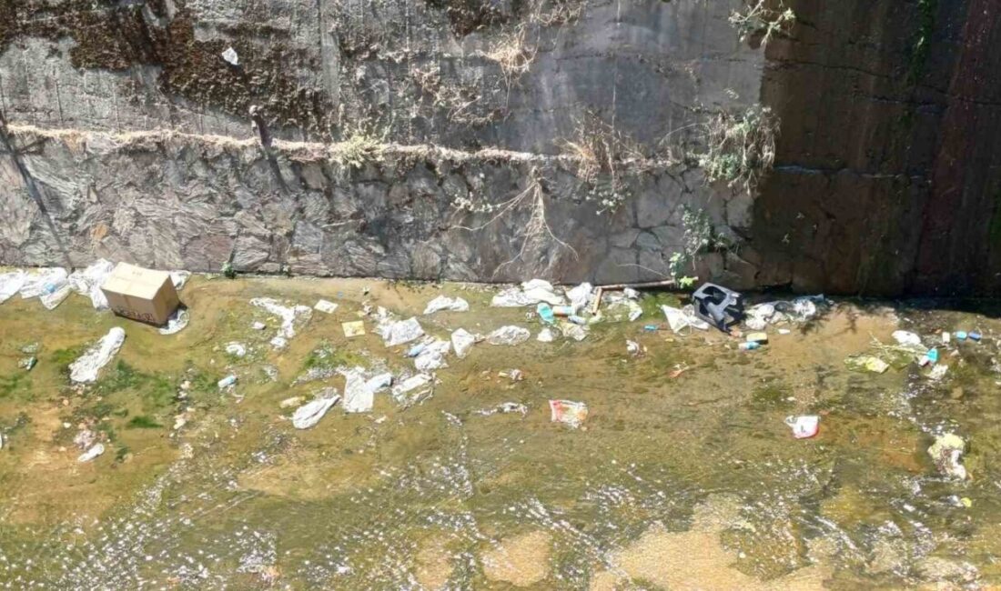 Aydın’ın Efeler ilçesinde bulunan ve her zaman duyarsız vatandaşların hedefi