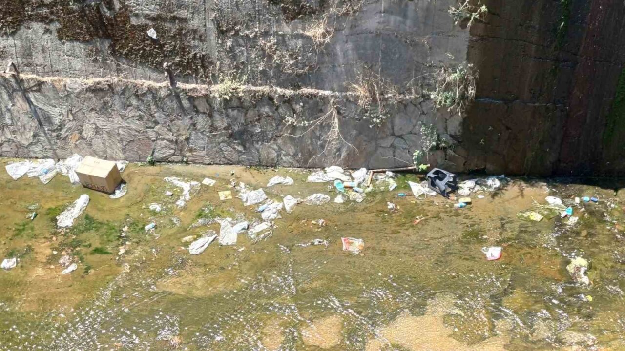 Aydın’ın Efeler ilçesinde bulunan ve her zaman duyarsız vatandaşların hedefi