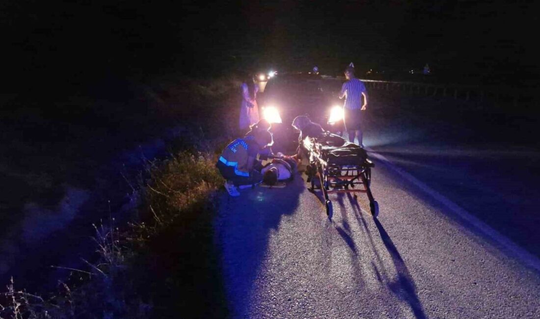 Çorum’un Alaca ilçesinde, kontrolden çıkan hafif ticari aracın şarampole devrildiği