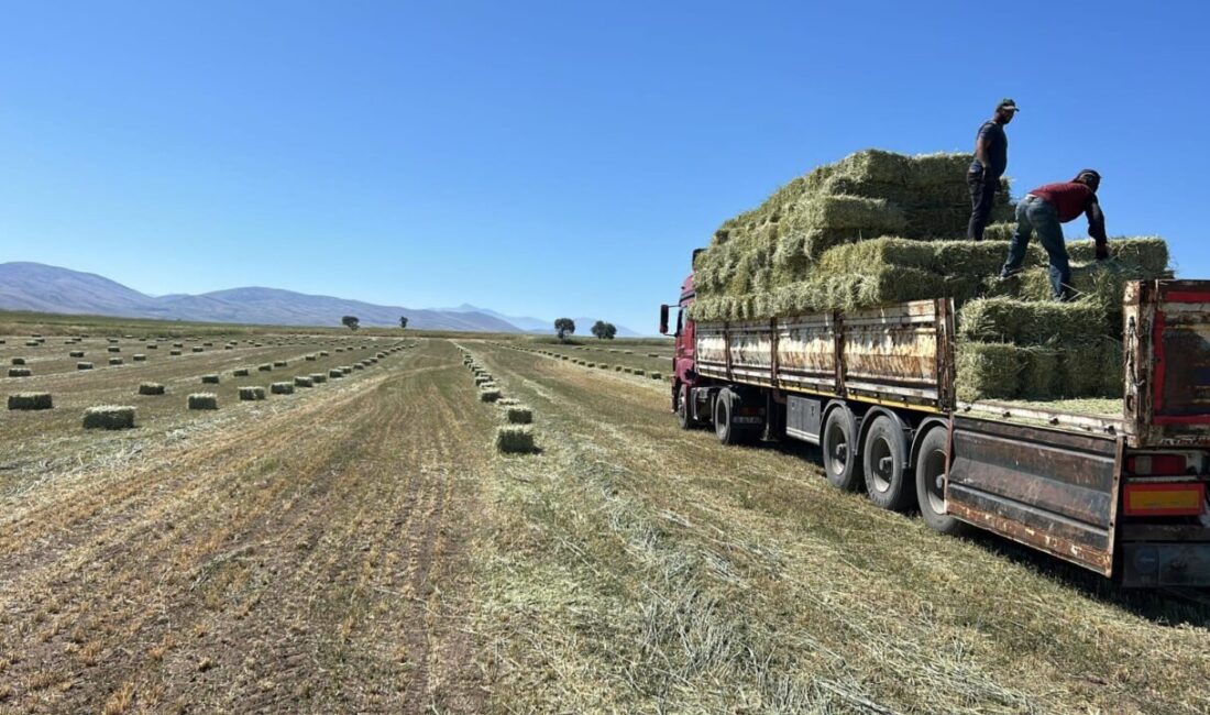 Talas Belediyesi, tarım ve hayvancılığı destekleyen uygulamalarıyla yerel üreticiye can
