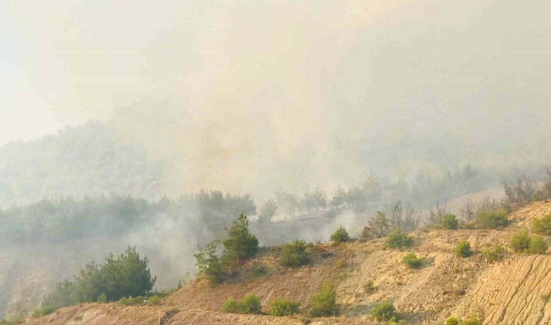 Bilecik’in Osmaneli ilçesinde devam eden yangında tarihi İpek Yolu’nun geçtiği