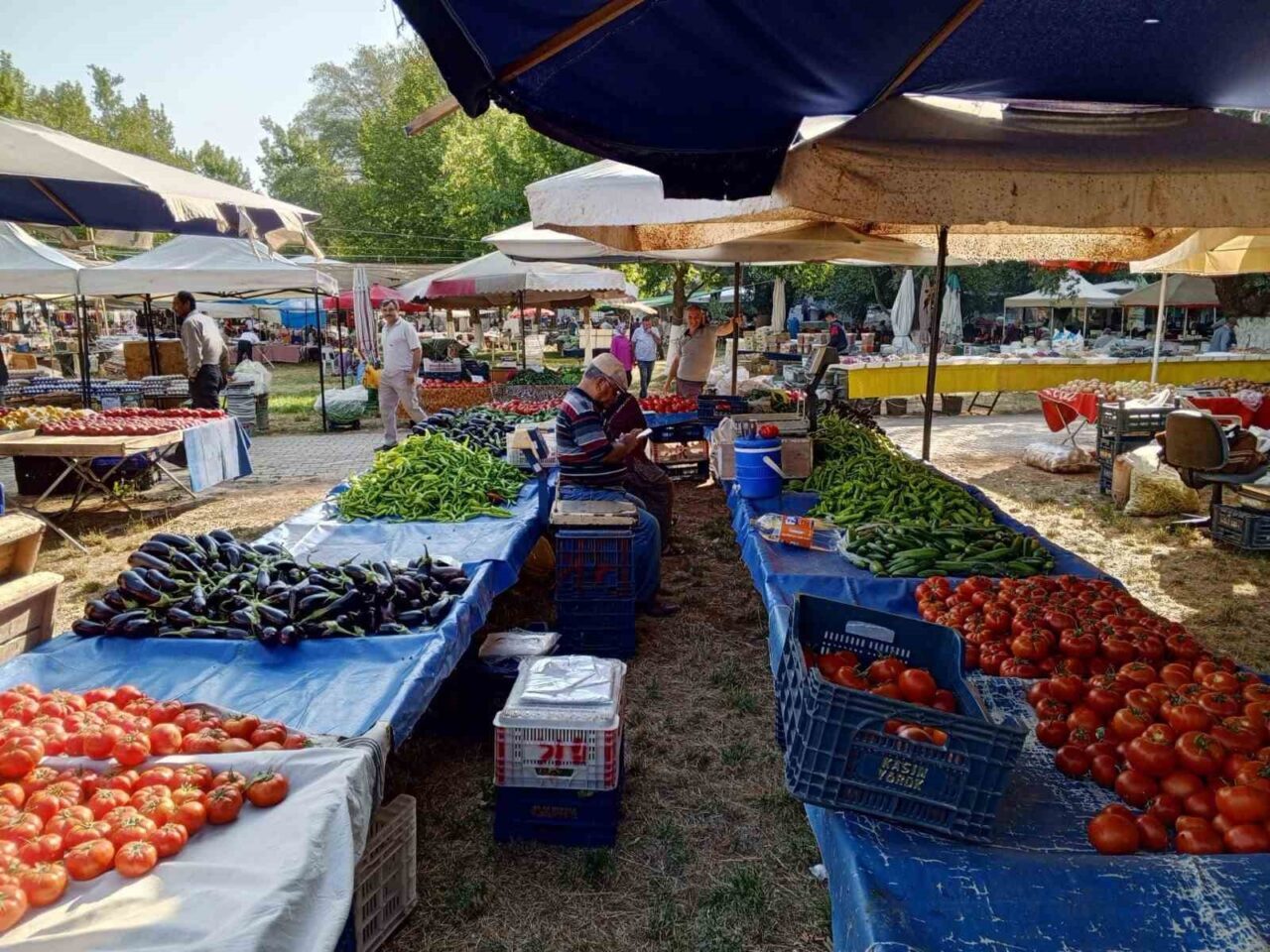 Isparta’nın Eğirdir ilçesinde geleneksel hale gelen Tarihi Pınar Pazarı Panayırı,
