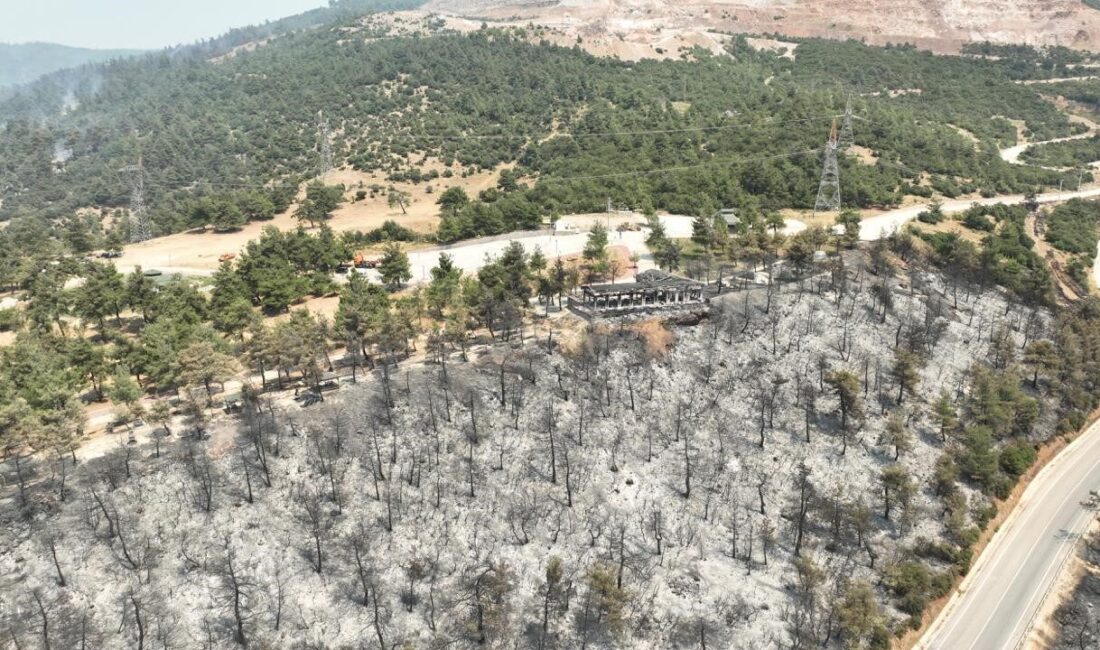 Bursa’nın Gürsu ilçesinde çıkan ve tarihinin en büyük felaketlerinden birisi