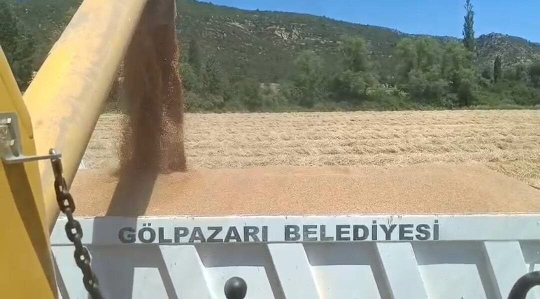 Gölpazarı Belediyesi tarım arazilerini en verimli şekilde değerlendirmeye devam ediyor.