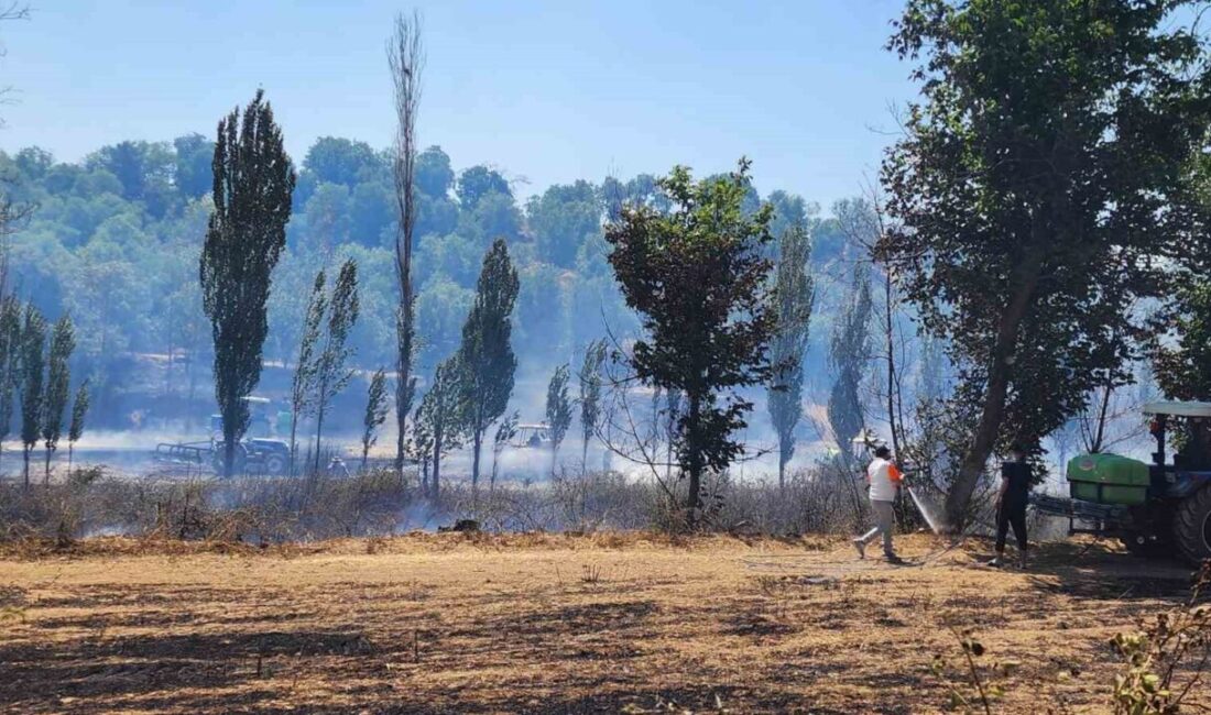 Denizli’nin Çivril ilçesinde tarım arazisinde başlayan yangın itfaiye ve çiftçilerin