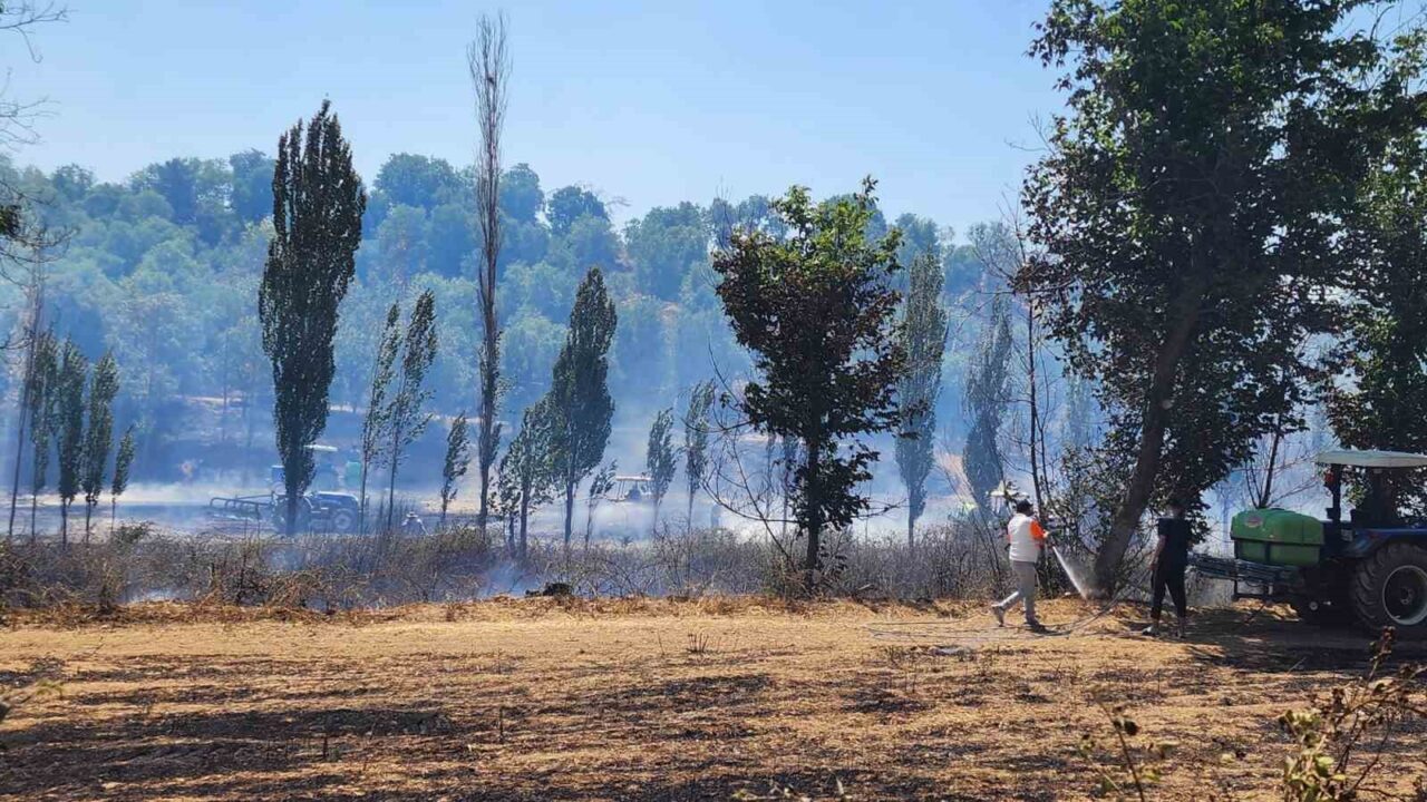 Denizli’nin Çivril ilçesinde tarım arazisinde başlayan yangın itfaiye ve çiftçilerin