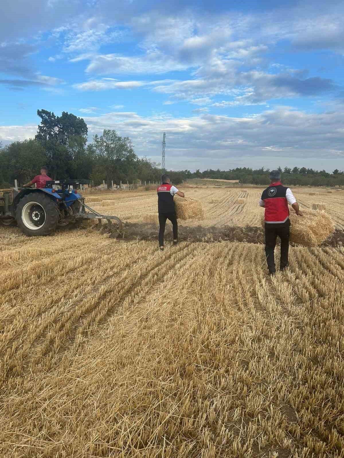 Bilecik’in Osmaneli ve Gölpazarı ilçelerinde çıkan ve beş gün süren