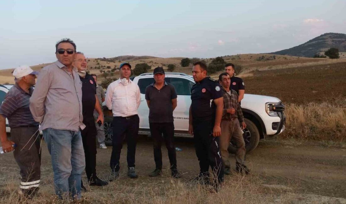 Eskişehir’in Beylikova ilçesinde çıkan ve tarım arazisi ile ormanlık alanın